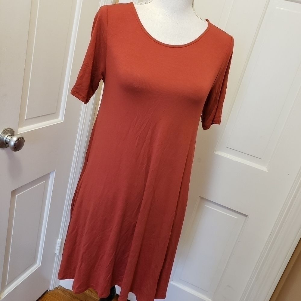NWT Agnes & Dora Terrecotta Swing Tunic Size XS (936)
